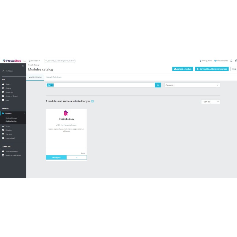 Creditinvoice copy pdf e-mail