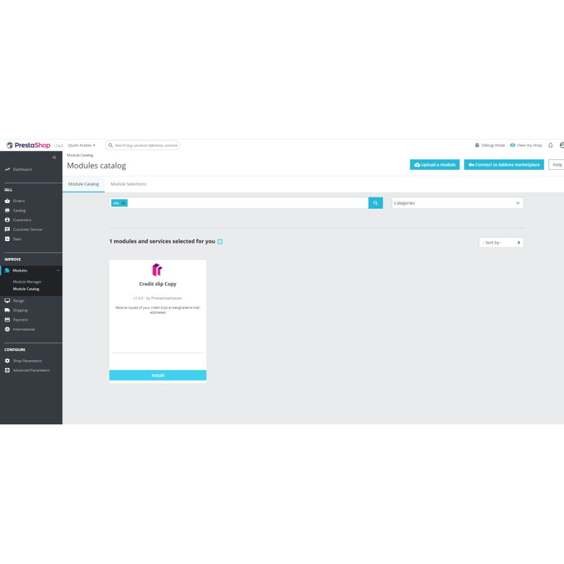 Creditinvoice copy pdf e-mail