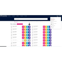 Creditinvoice copy pdf e-mail